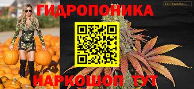 ECSTASY Моздок