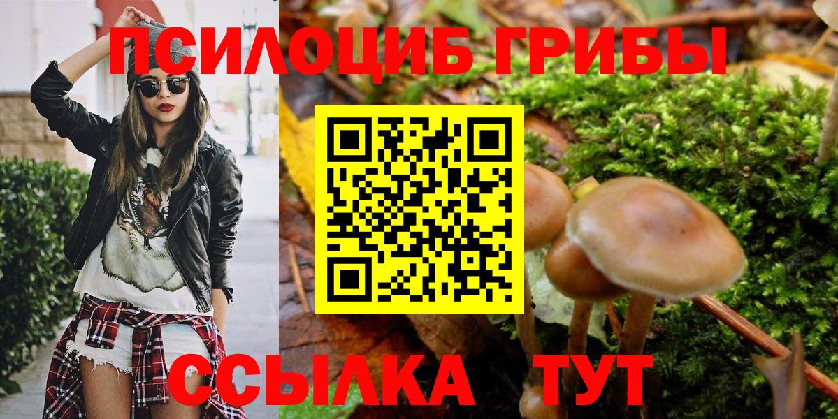 где можно купить   Псилоцибиновые грибы Psilocybe  Вход с VPN  Клин 